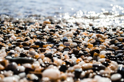 Close-up of pebbles at beach