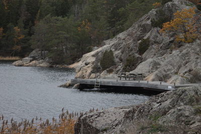 Scenic view of river amidst trees