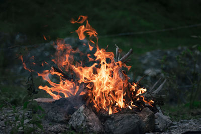 Close-up of burning campfire