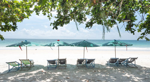 Chairs and umbrella in palm beach for relaxing activity on the beach.