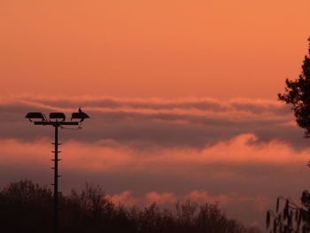 Low angle view of silhouette street light against orange sky