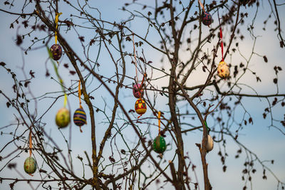 Low angle view of colorful easter eggs hanging from tree against sky