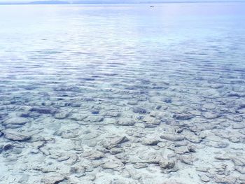 Full frame shot of sea shore