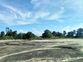 Scenic view of trees on field against sky