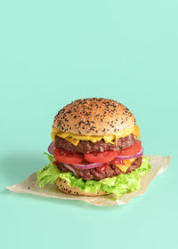 Close-up of burger against white background