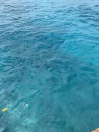 High angle view of swimming pool in sea