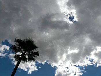 Low angle view of tree against cloudy sky