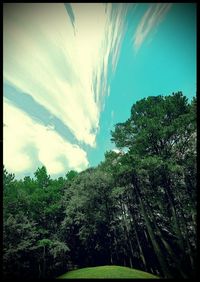 Low angle view of trees against cloudy sky