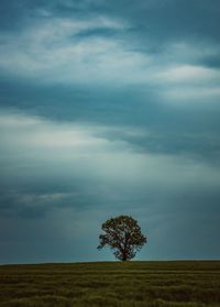 Tree on field against sky