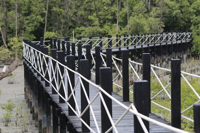 View of bridge in forest