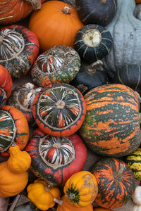 Full frame shot of pumpkins for sale