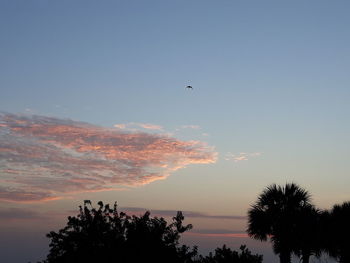 Silhouette birds flying against sky during sunset