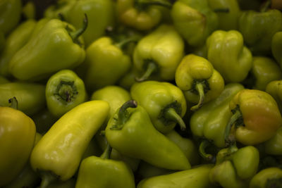 Green pepper. vegetables on market. pepper texture. healthy food. green pods.