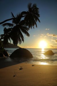 Silhouette palm trees on beach against sky during sunset