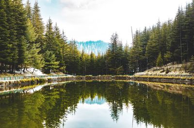 Reflection of trees in lake against sky