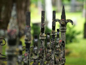 Close-up of rusty metal