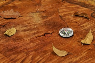 Close-up of navigational compass on table