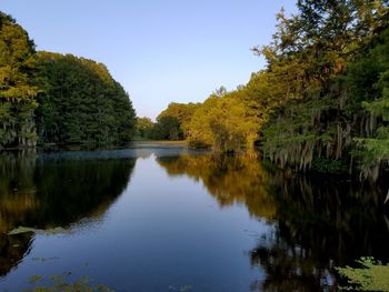 Reflection of trees in lake