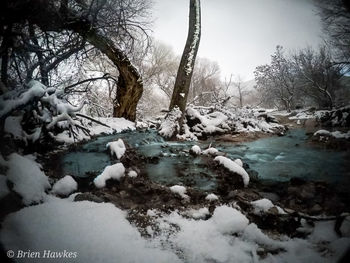 View of frozen river against bare trees during winter