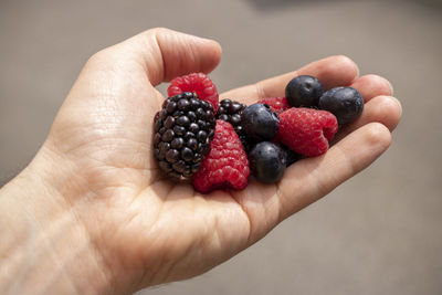 Close-up of hand holding strawberries
