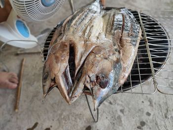 High angle view of fish for sale