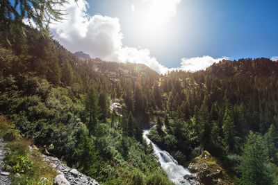 Scenic view of waterfall in forest against sky