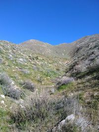 Scenic view of landscape against clear blue sky