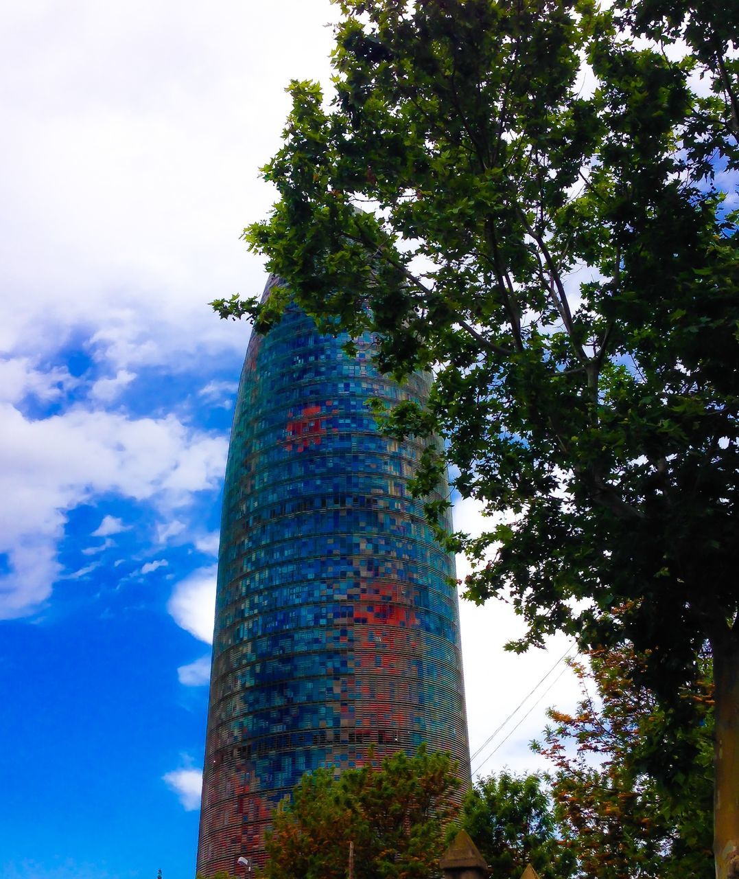 low angle view, tree, architecture, built structure, building exterior, sky, tall - high, tower, blue, day, growth, cloud - sky, branch, outdoors, no people, cloud, tall, tree trunk, city, skyscraper