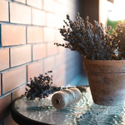 Close-up of dried plant and spool of thread on table