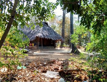 Built structure against trees