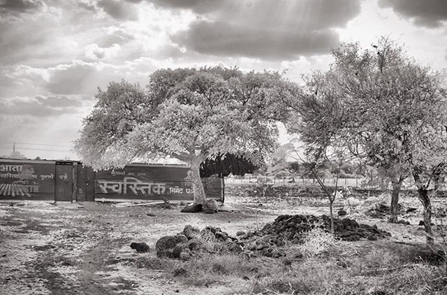 tree, sky, cloud - sky, tranquility, tranquil scene, nature, cloudy, cloud, water, scenics, day, beauty in nature, landscape, outdoors, no people, river, built structure, non-urban scene, field, growth