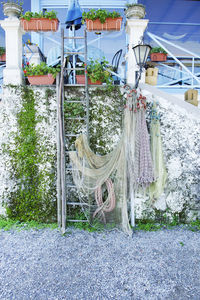 Clothes hanging on empty road by plants