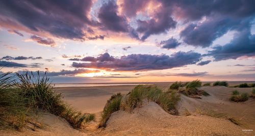 Scenic view of beach against sky during sunset