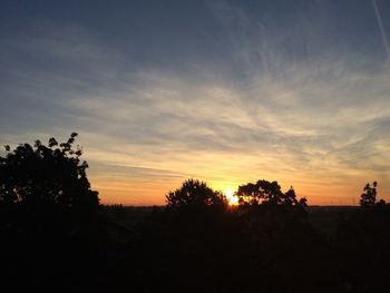 Silhouette of trees at sunset