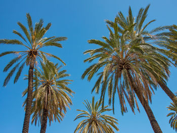 Palermo city on sicilia