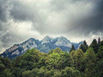 Low angle view of trees and mountains against sky