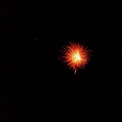 Low angle view of illuminated firework display