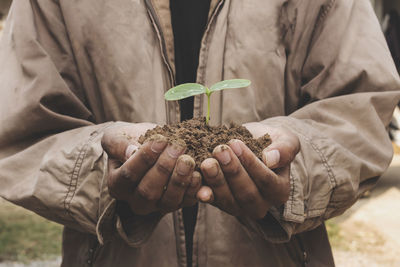 Midsection of person holding seedling