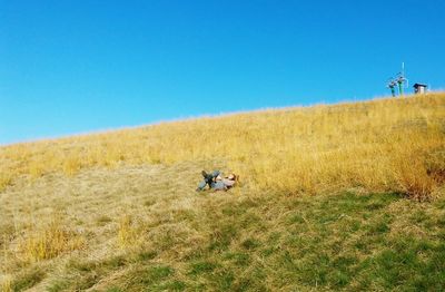 Man with dog on field against clear blue sky