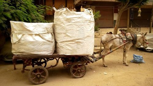 Bicycles on cart