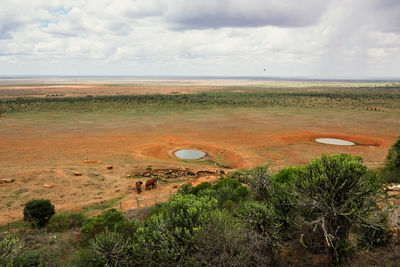 Aerial view of african elephants at a watering hole at tsavo east national park in kenya