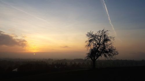 Silhouette tree on field against sky during sunset