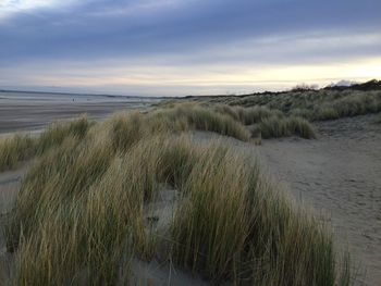 Scenic view of beach against sky during sunset