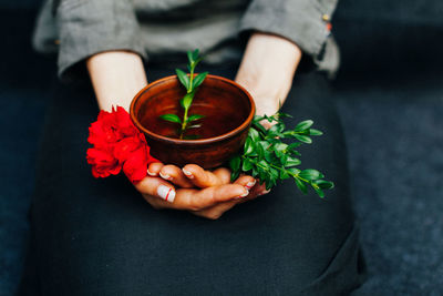 Midsection of woman holding red flowering plant