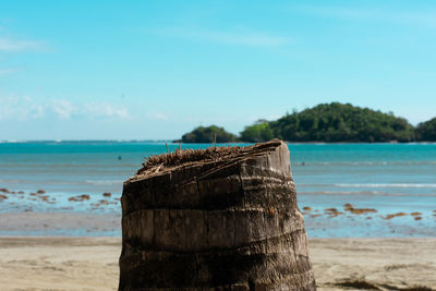 Wooden posts on beach against sky