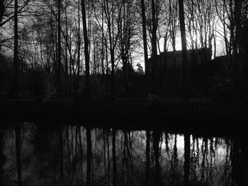 Reflection of trees in lake