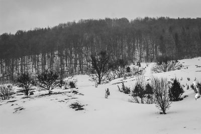 Scenic view of snow covered field