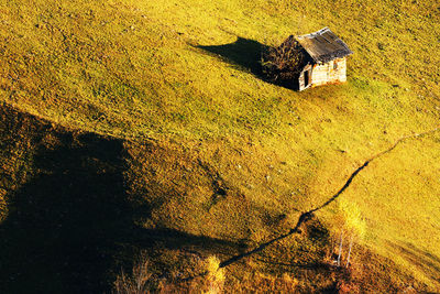 High angle view of barn on green landscape