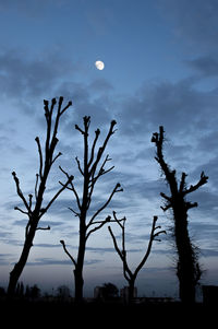 Bare trees against cloudy sky at sunset