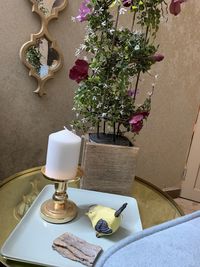 Close-up of potted plant on table